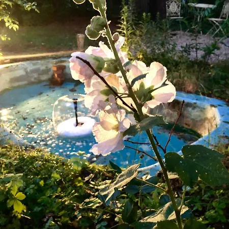 Waegner's Heim Dresden