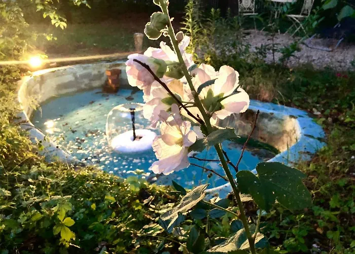 Waegner's Heim Дрезден